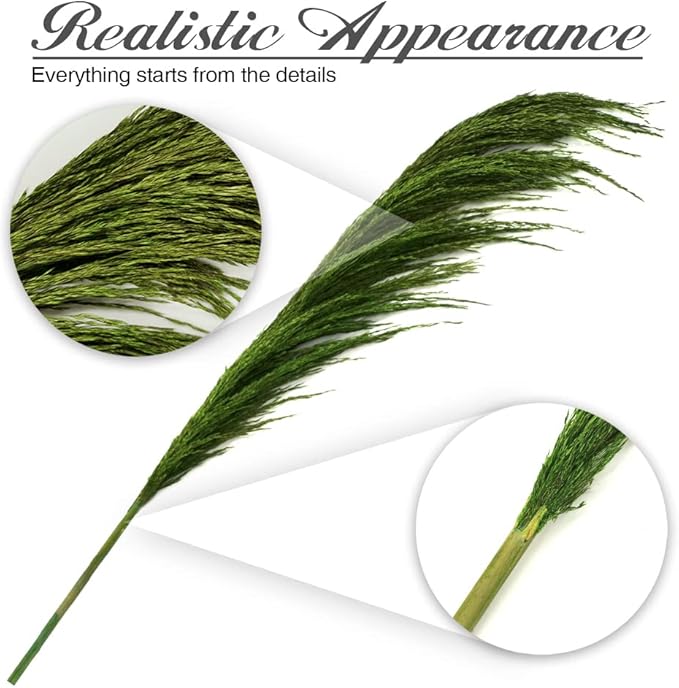 Pampas Grass Decor Tall,Long Pampas, Large Pompas Floral, Elegant Feather Flowers for Wedding Decorations, Living Room Decor (Natural Green, 8pcs 31.5"(80cm))