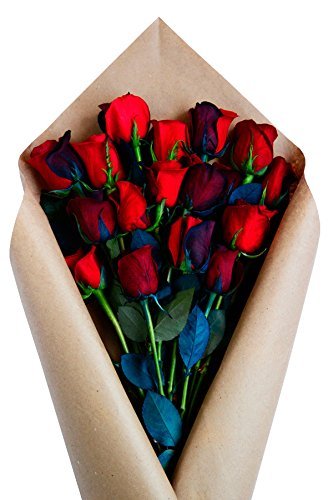 24 Stems - Fresh Cut Black and Red Roses from Flower Explosion
