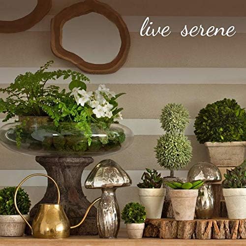 Serene Spaces Living Gold Handi Bowl: Hammered Texture, Decor for Living Rooms, Entryways, Restaurants, Indian Wedding. Table Centerpiece in Aluminum or Brass, Aluminum, 5" Tall & 15.5" Dia