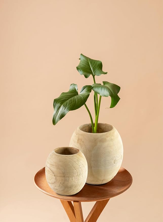 Serene Spaces Living Teak Essence Vase - Handcrafted Natural Wood Vase, Perfect for Artificial, Dried, and Fresh Flowers, Unique Rustic Decor Piece for Home or Office, Gift Idea (Small - Pack of 1)