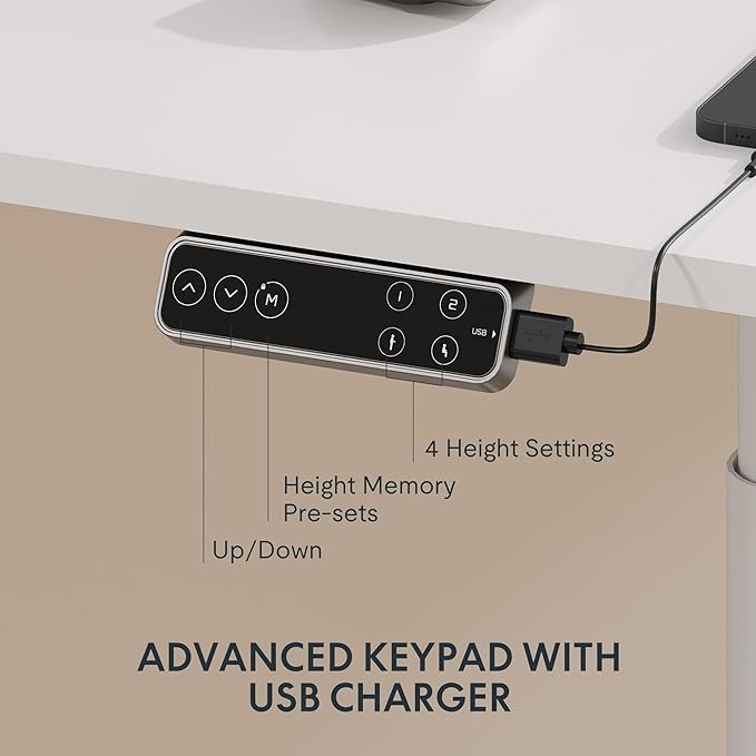 FLEXISPOT E6 Pro Oval Leg Dual Motor 3 Stages Standing Desk 48x30 Inch Whole-Piece Board Electric Height Adjustable Electric Sit Stand Up Desk 150KG Load Capacity (White Frame + White Desktop)