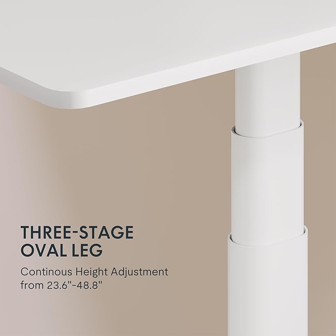 FLEXISPOT E6 Pro Oval Leg Dual Motor 3 Stages Standing Desk 60x27 Inch Skin-Friendly Electric Height Adjustable Whole-Piece Sit Stand Up Desk 150KG Load Capacity (White Frame + White Desktop)