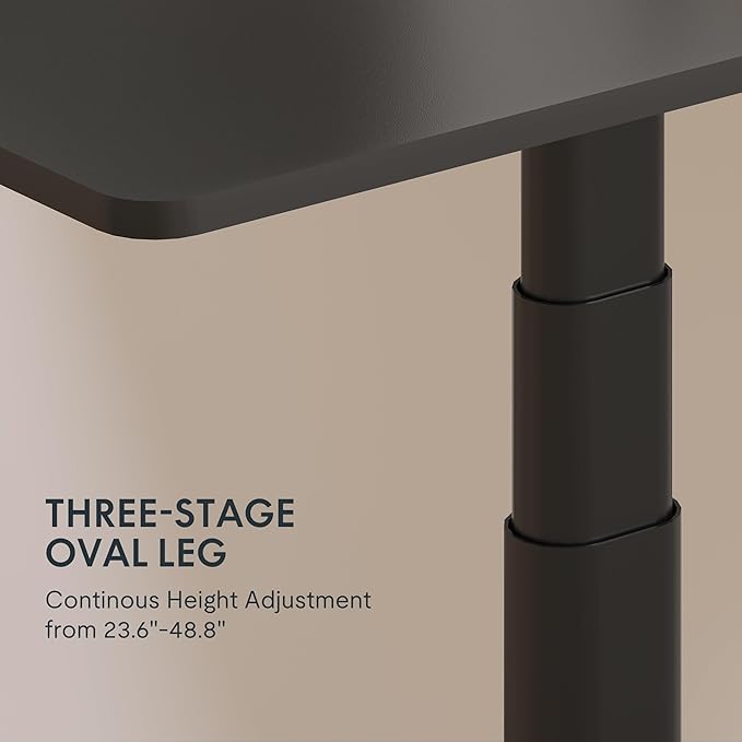FLEXISPOT E6 Pro Oval Leg Dual Motor 3 Stages Standing Desk 48x30 Inch Whole-Piece Board Electric Height Adjustable Electric Sit Stand Up Desk 150KG Load Capacity (Black Frame + Black Desktop)