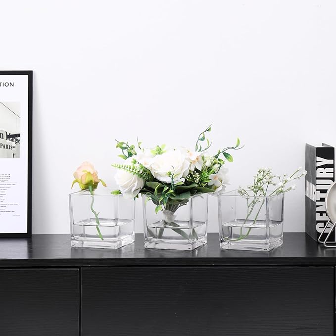 Square Clear Glass Vases Set of 2, 6" x 6" x 6" Square Vase for Centerpieces, Flower Vases for Centerpieces, Small Vase for Wedding, Party, Home Office Decoration