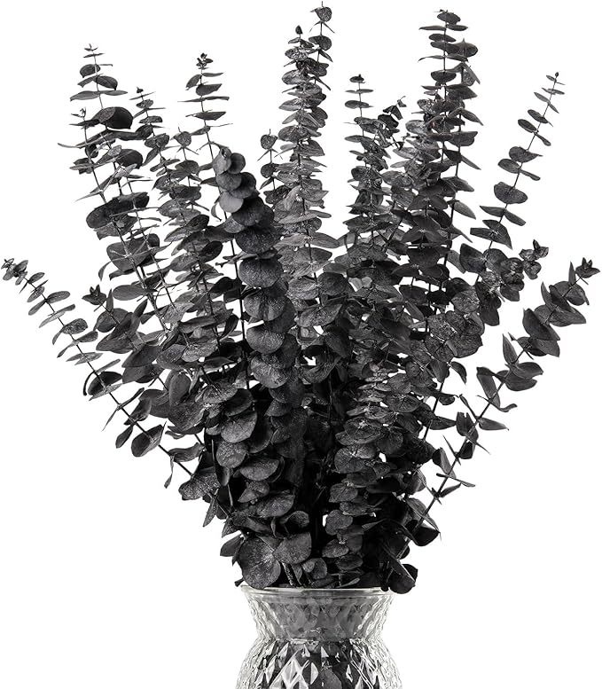 Black Eucalyptus Stems Decor,20PCS 17" Real Dried Preserved Eucalyptus Stems Plant for Home Vase Wedding Festival Floral Fall Halloween Arrangement Decorations