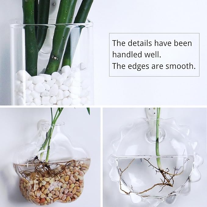 Wall-Mounted Acrylic Planter for Hydroponic Plants – Mantou Vase Medium, Modern Transparent Design for Home & Office Decoration