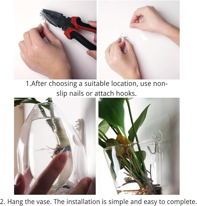 Wall-Mounted Acrylic Planter for Hydroponic Plants – Conical Vase, Modern Transparent Design for Home & Office Decoration