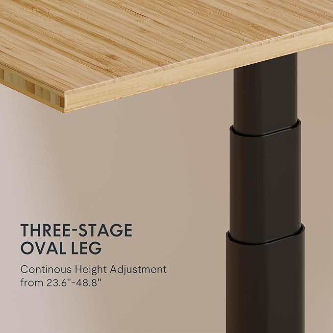FLEXISPOT E6 Pro Oval Leg Dual Motor 3 Stages Bamboo Whole-Piece Electric Standing Desk 72x30 Inch Board Height Adjustable Electric Sit Stand Up Desk (Black Frame + Bamboo Whole-Piece Desktop)