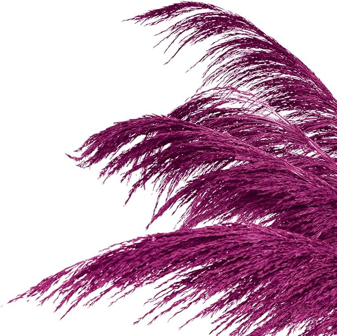 Pampas Grass Decor Tall,Long Pampas, Large Pompas Floral, Elegant Feather Flowers for Wedding Decorations, Living Room Decor (Natural Purple Red, 4pcs 43.3"(110cm))