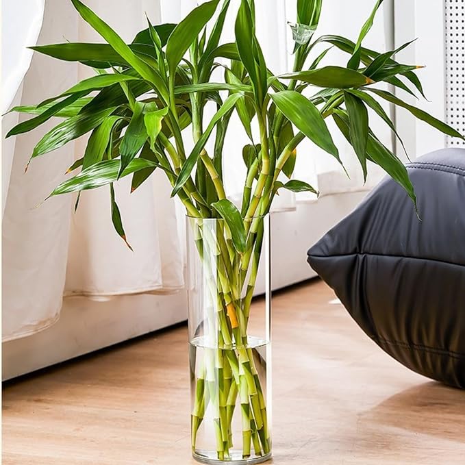 Clear Acrylic Flower Vase, Modern Unbreakable Decorative Cylinder Vase for Wedding Bouquets, Centerpieces, and Home Decor - 10cm Diameter, 35cm Height