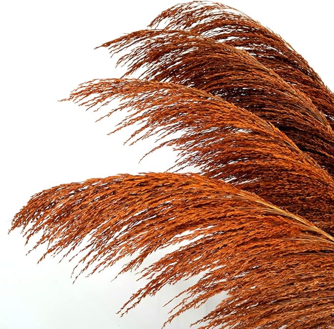 Pampas Grass Decor Tall,Long Pampas, Large Pompas Floral, Elegant Feather Flowers for Wedding Decorations, Living Room Decor (Natural Orange, 8pcs 31.5"(80cm))