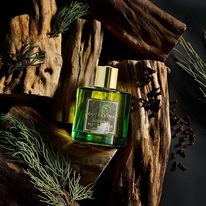 COCORRÍNA Reed Diffuser - Redwood National Park 6.7 Fl.oz Reed Diffuser Set with 8 Sticks & Preserved Baby's Breath, Reed Diffuser for Home Bathroom Shelf Decor