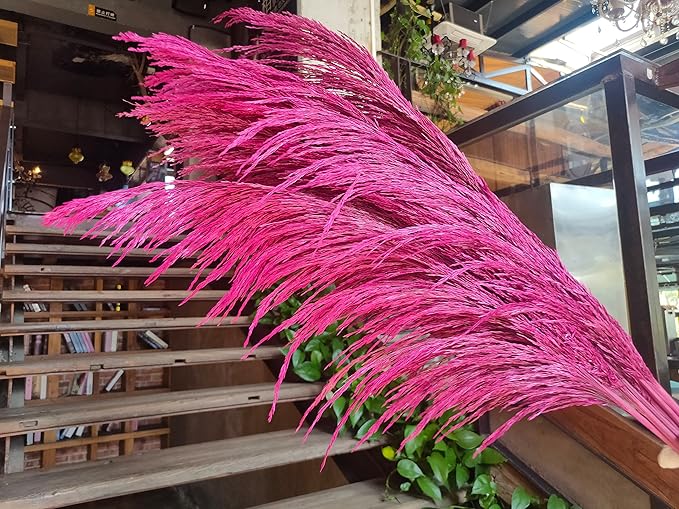 Pampas Grass Decor Tall,Long Pampas, Large Pompas Floral, Elegant Feather Flowers for Wedding Decorations, Living Room Decor (Natural Purple Red, 4pcs 43.3"(110cm))