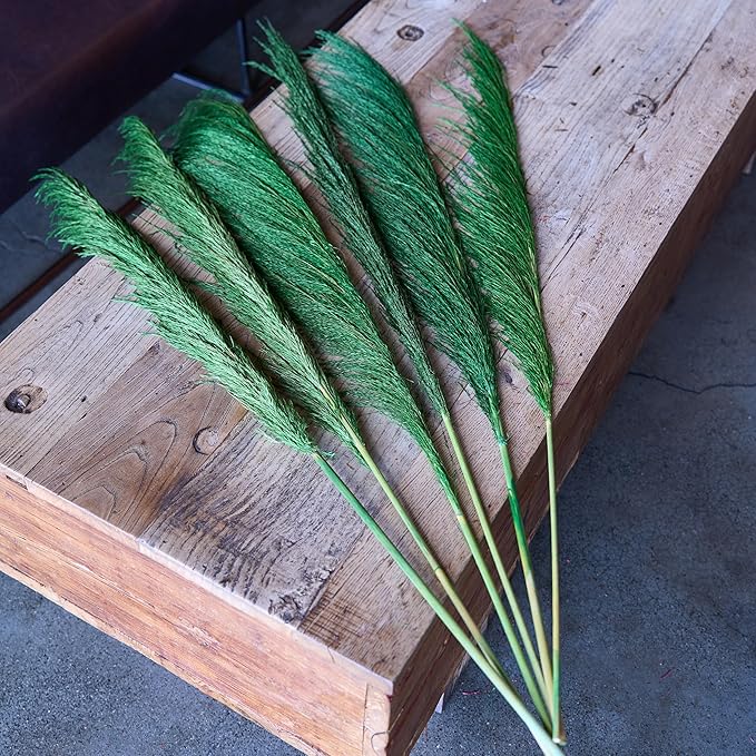 Pampas Grass Decor Tall,Long Pampas, Large Pompas Floral, Elegant Feather Flowers for Wedding Decorations, Living Room Decor (Natural Green, 8pcs 31.5"(80cm))